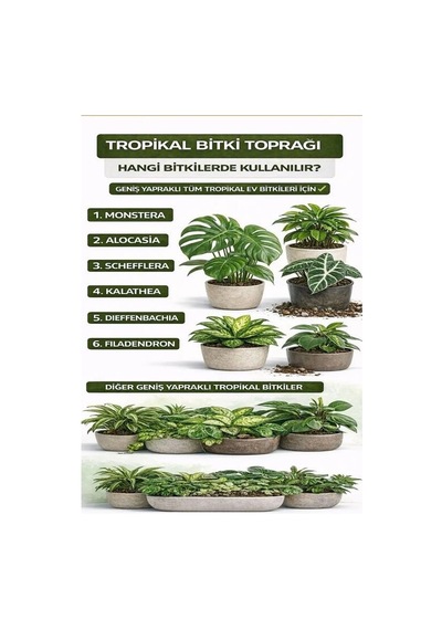 10 Litre - Tropikal Bitki Toprağı Monstera - Alocasia - Schefflera Için Sinek Yapmayan Formül 10 L