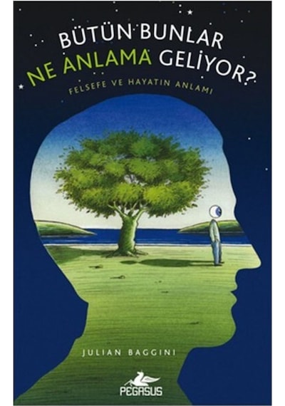 Bütün Bunlar Ne Anlama Geliyor? - Julian Baggini - Pegasus