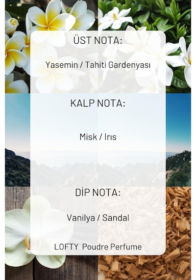 Lofty Pudra Lavanta Amber Uçucu Yağ Buhurdanlık Esansı Oda Kokusu 10 ML