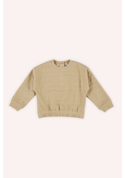 Kız Bebek Bej Sweatshirt Çok Renkli