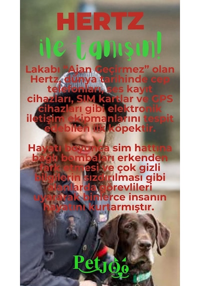 Petjoo 26.Hertz Yeşil-Kırmızı Qr'lı Köpek Künyesi