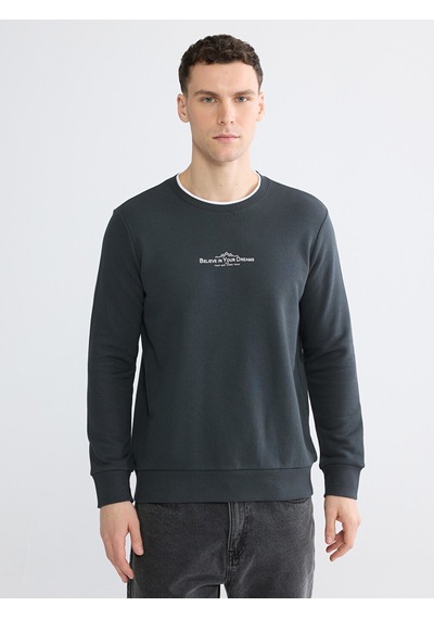 Lcwaıkıkı Classic Antrasit Bisiklet Yaka Baskılı Erkek Sweatshirt