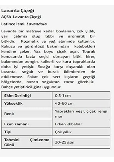 Ayrex Lavanta Çiçeği Tohumu