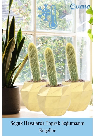 Saksı Çiçek Kaktüs Saksısı Lüx 15 Cm Burgulu Desen Saksı Çiçeklik