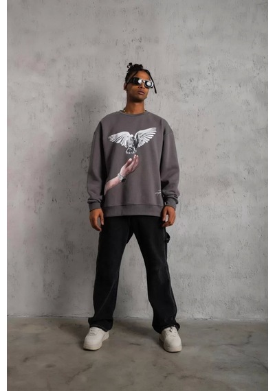 Erkek Güvercin Baskılı Sweatshirt - Gri Gri