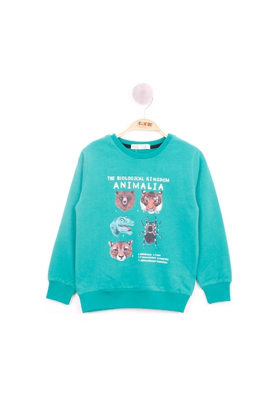 Toontoy Kids Toontoy Erkek Çocuk Hayvan Baskılı Sweatshirt Yeşil