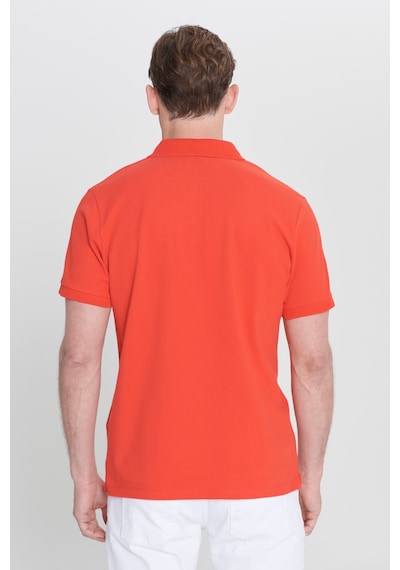AC&Co / Altınyıldız Classics Erkek Nar Çiçeği Slim Fit Dar Kesim Polo Yaka %100 Pamuk Tişört 4A4820200001NCCXL Narçiçeği AC&Co / Altınyıldız Classics Erkek Nar Çiçeği Slim Fit Dar Kesim Polo Yaka %100 Pamuk Tişört 4A4820200001NCCXL Narçiçeği