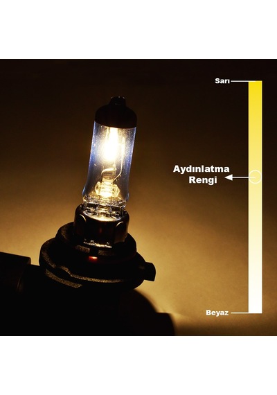 12V 55W 9006 HB4 Standart Far Ampulü
