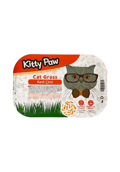 Kedi Başlangıç Set 15 Parça