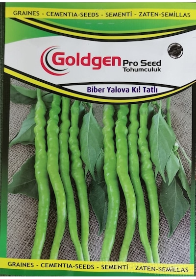 Goldgen Pro Seed Biber Yalova Kıl Tatlı