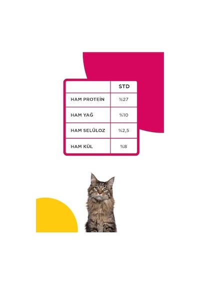 Econature Yetişkin Kısır Kedi Tavuklu, 15 Kg 100 G