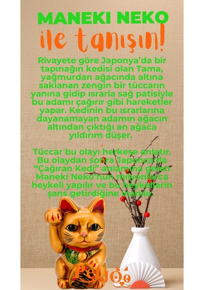 Petjoo 4.Maneki Neko Turuncu-Yeşil Qr'lı Kedi Künyesi