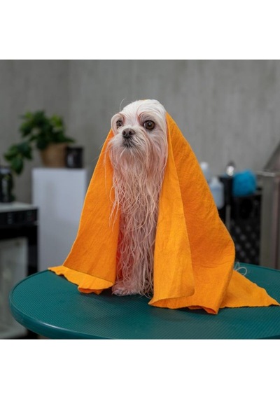 Show Tech Köpekler Ve Kediler İçin Premium Nem Ve Kir Emici Havlu 70x50 Cm