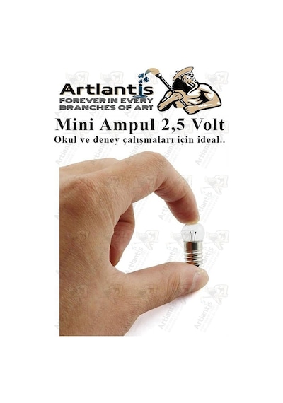 Mini Duy Ve Mini Ampul 1 Adet Elektrik Deney Duyu Ve Ampulü 2.5 V Amup Yuvası Devre Proje Etkinlik Okul Sınıf