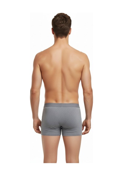 İki Yıldız Erkek Likralı Boxer Düz Renk Bgl-st05007 Gri