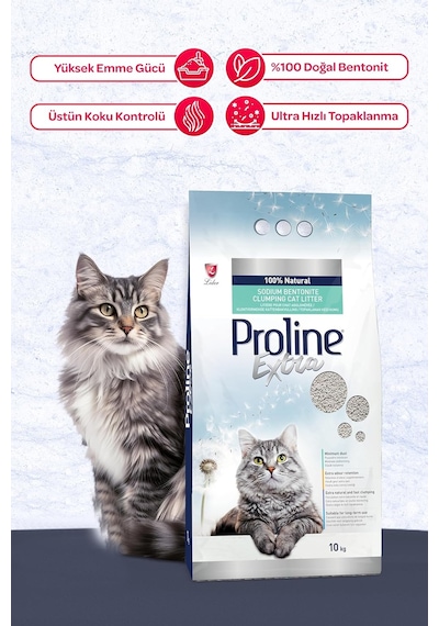 Extra Sodıum Bentonite Gri Bentonit Topaklaşan Kedi Kumu 10 L