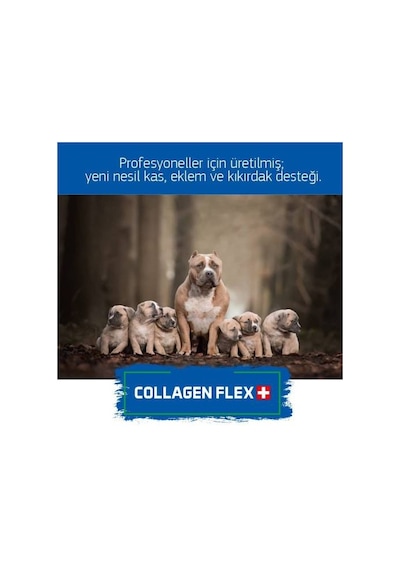 Collagen Flex Köpekler İçin Yeni Nesil Gelişim Ürünü Toz 10 x 400 G