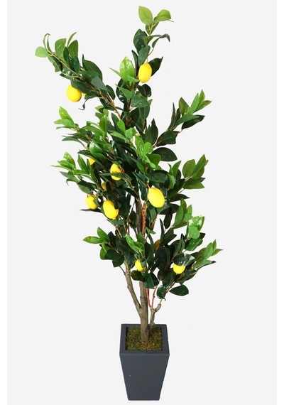 Yapay Çiçek Deposu Ahşap Mdf Saksıda Yapay Lüx Limon Ağacı 200 Cm