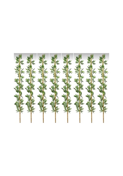 Rüzgar Yapay Çiçekçilik 220 Cm 8 Adet Bambu Yeşil