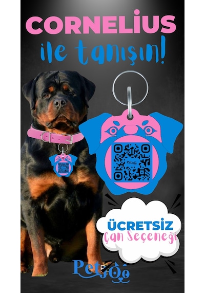 Petjoo 20.Cornelius Mavi-Pembe Qr'lı Köpek Künyesi