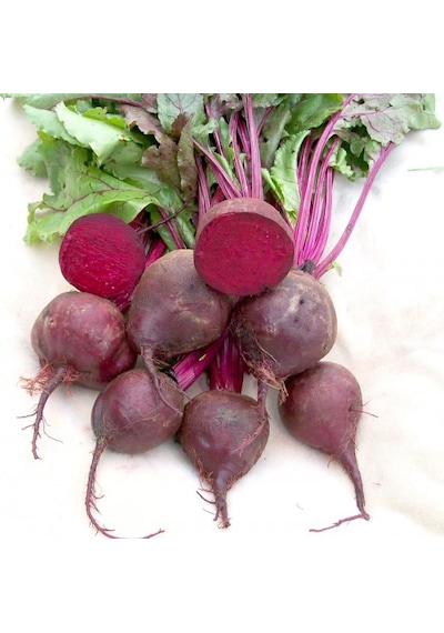 Kırmızı Pancar 2 KG