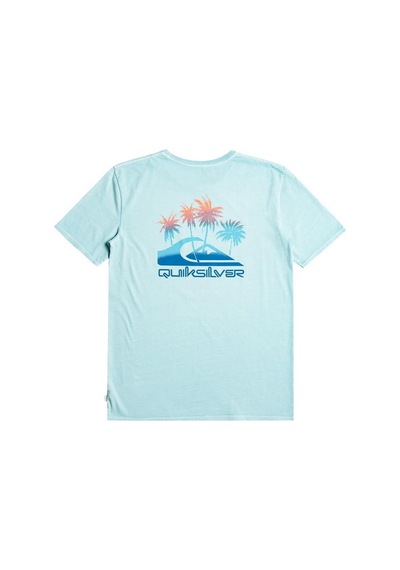 Quiksilver Eqyzt07252 Pastimeparadise M Tees Erkek Tişört 001