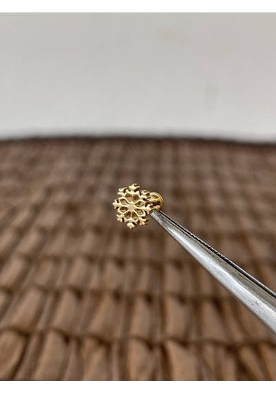 Gerçek Titanium G23 Kar Tanesi Zirkon Altın Titanyum 6x1.2mm Bedenilabret Piercing Altın