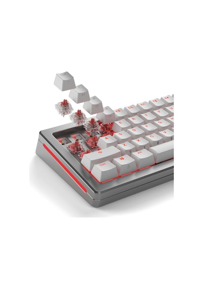 Glorious Fox Ultralight Yağlı Klavye Switch 110 Adet