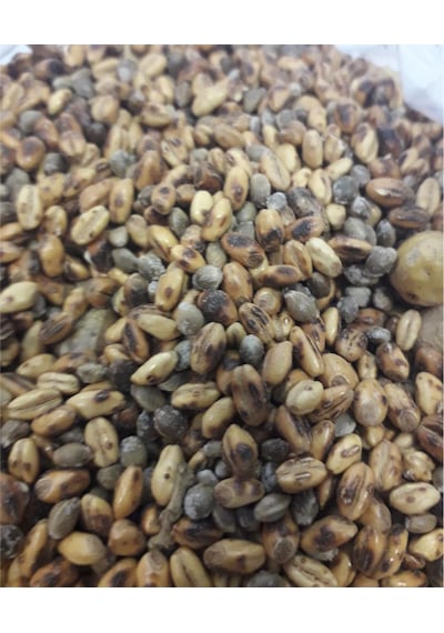 Kavurga 1 KG
