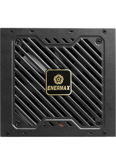 Revolutıon Iıı 850w 80+ Gold Pcıe 5.1 Full Modüler Atx 3.1 Güç Kaynağı Erv850g-ahg-mac