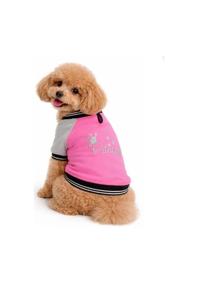 Gedyco Princess Polarlı Küçük Irk Köpek Kolej Sweatshirtü-21633