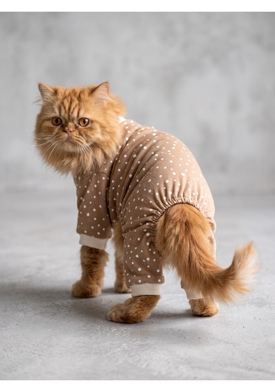 Latte Sprinkles Kedi Tulumu Pamuklu Penye Kedi Kıyafeti Küçük Irklar İçin Tüy Dökülmesini Azaltır