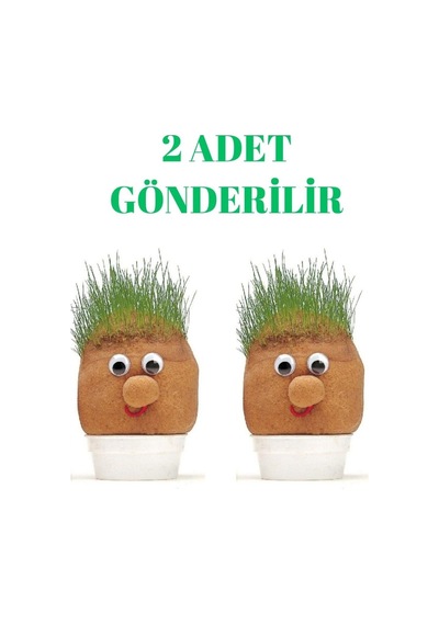 Çim Adam Seti 2 Adet Birden Çim Adam Eğitici Deney Çim Adam Yapım Seti