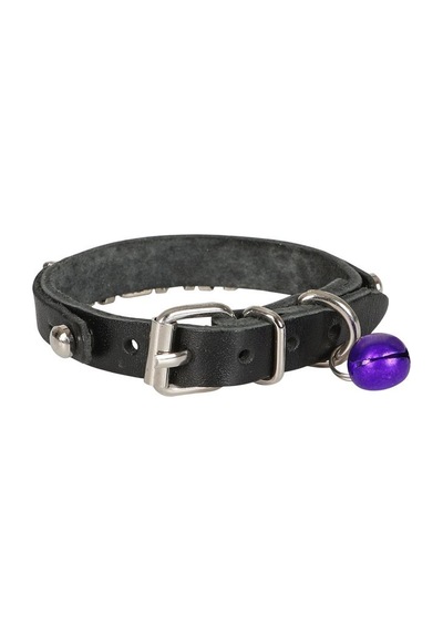 Cattie İsimlikli Deri Kedi Boyun Tasması S 1x18 - 22CM Siyah
