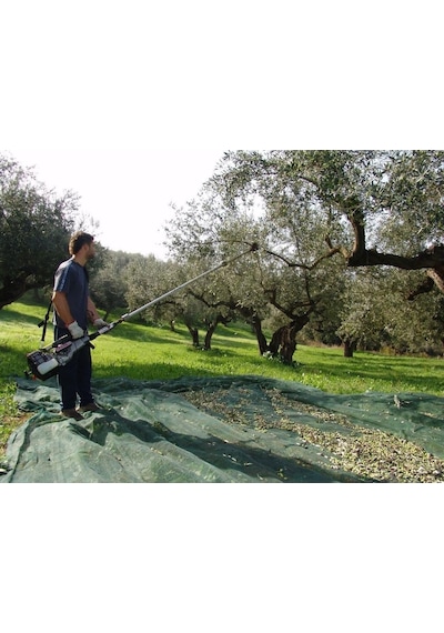 Cifarelli SC 800 Zeytin Ağaç Silkeleme Hasat Makinesi