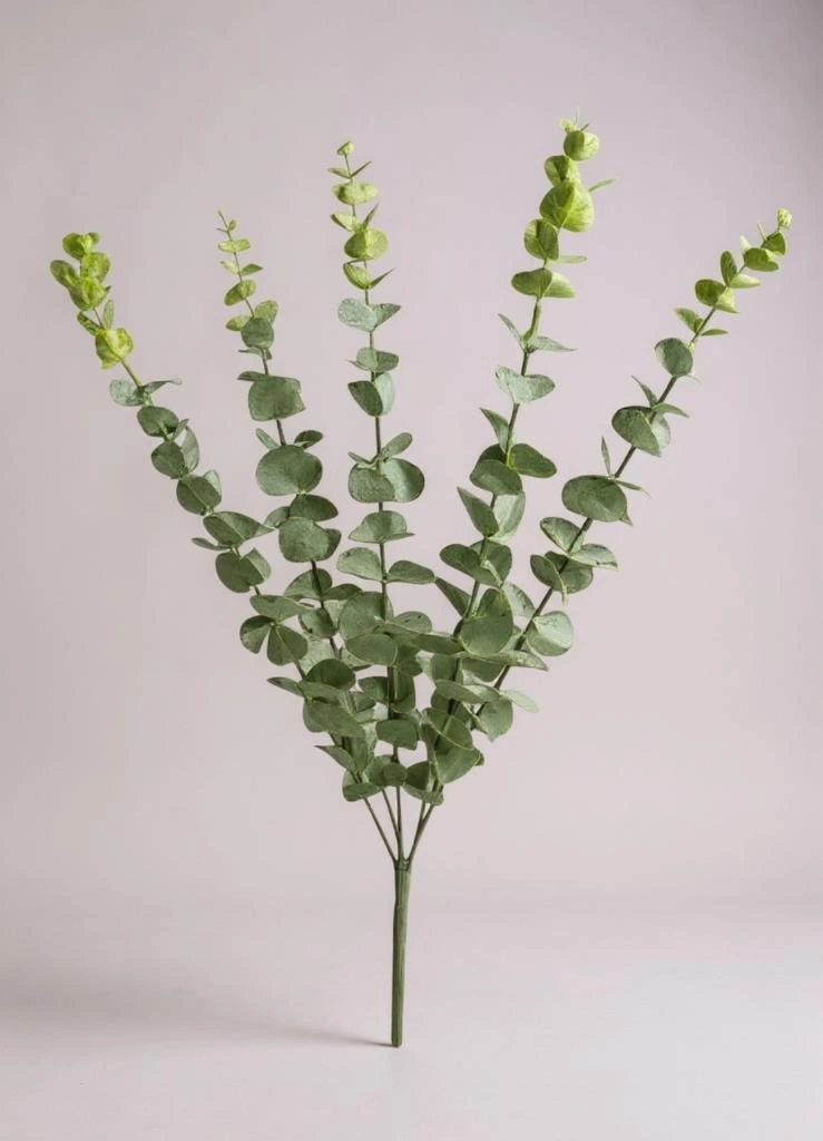 Yapay Çiçek Pastel Silikon Okaliptus 42cm 5dallı Demet Eucalyptus Yeşil