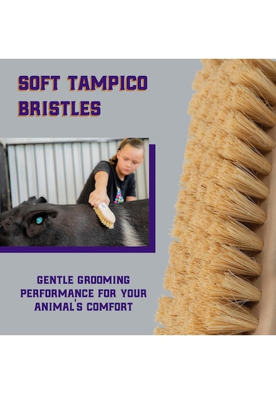 Weaver Deri Sığır Tampico Pig Fırça, Gümüş