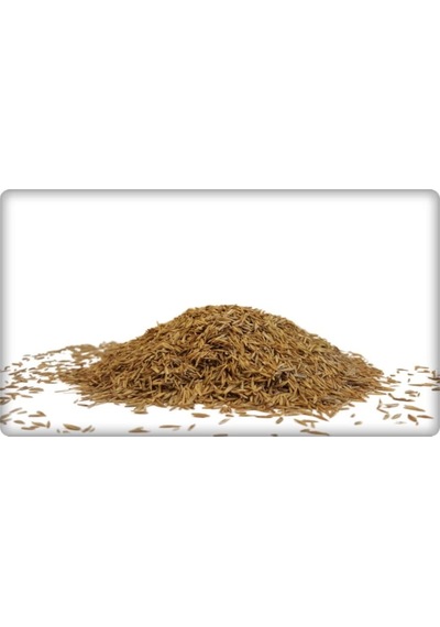 Çim Tohumu Tekli Karışım 10 KG Lolium Perenne