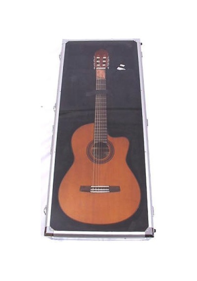 Valencıa Dsc420