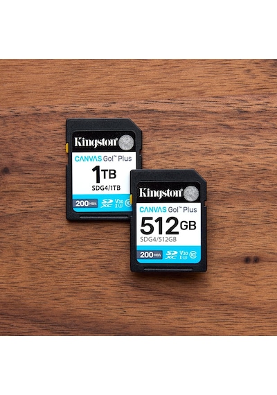 64gb Canvas Go Plus Sd Card Up To 200mb/s Class 10, Uhs-ı, U3, V30 Sdg4/64gb