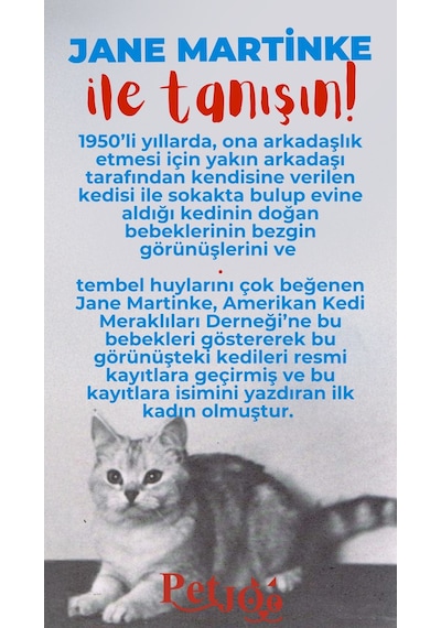 Petjoo 5.Jane Martinke Kırmızı-Mavi Qr'lı Kedi Künyesi