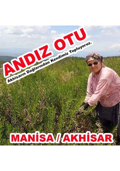 Andız Otu Macunu Akhisar, Yapışkan, Hakiki Doğal
