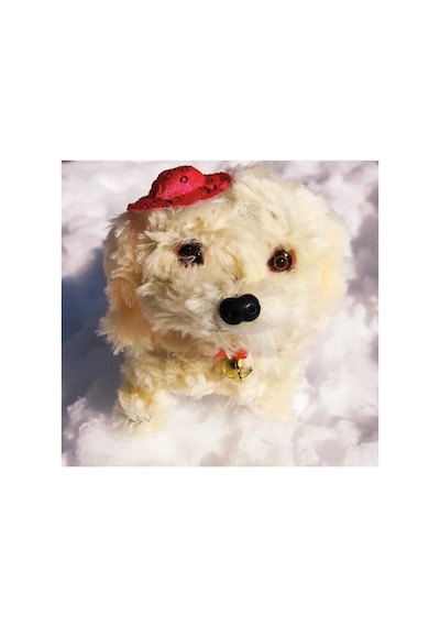 Pilleri Hediye Yürüyen Havlayan Sevimli Peluş Pilli Oyuncak Köpek 13 Cm. Krem Pembe Mavi Kahve Mor Krem