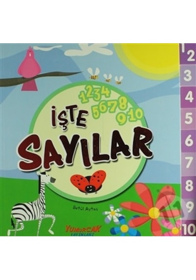 Işte Sayılar/Betül Aytaç