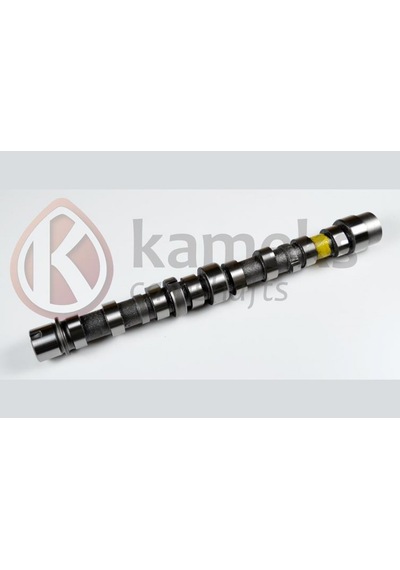 Eksantrik - 623 - Mili Bıpper 10- Nemo 10-doblo 10- Egea 16- Punto 12- 500 L 12- 95bg 1.3 Jtd - Dpmıx-hb - Euro5 Dök Eksantrik Mili Eksantrik - 623 - Mili Bıpper 10- Nemo 10-doblo 10- Egea 16- Punto 12- 500 L 12- 95bg 1.3 Jtd - Dpmıx-hb - Euro5 Dök Eksantrik Mili