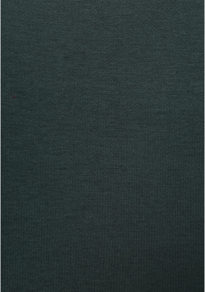 Colin's Colins Comfort Fit Erkek Yeşil Sweatshirt Cl1077350 Q1.v2 Grn Yeşil Colin's Colins Comfort Fit Erkek Yeşil Sweatshirt Cl1077350 Q1.v2 Grn Yeşil