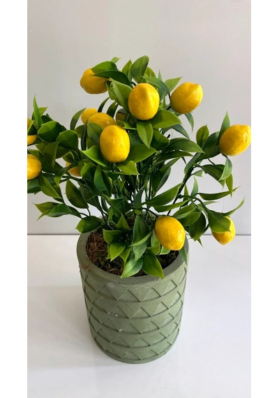 Rüzgar Yapay Çiçekçilik 35 Cm Limon Ağacı Yeşil