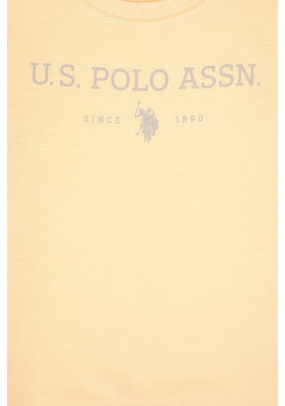 U.S. Polo Assn. Erkek Çocuk Pembe Bisiklet Yaka Sweatshirt 50313900-VR053