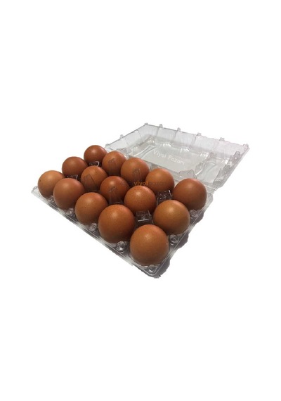 15'Li Plastik Yumurta Viyolü 100 Adet