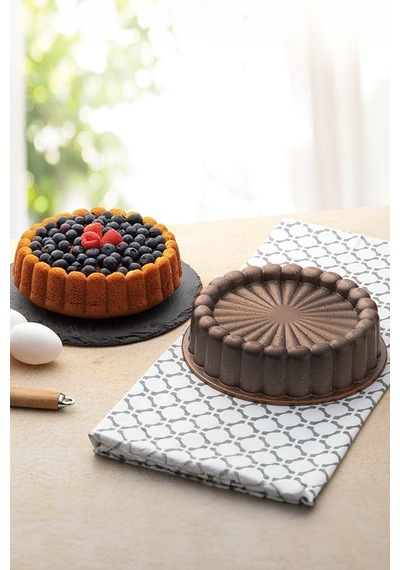 Karbon Çelik 22 Cm Dilimli Tart Turta Kek Kalıbı Cin803khv
